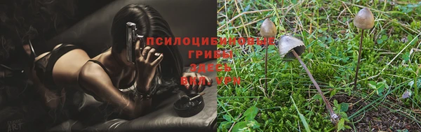 твердый Строитель